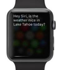 apple-wach-SIRI-integration